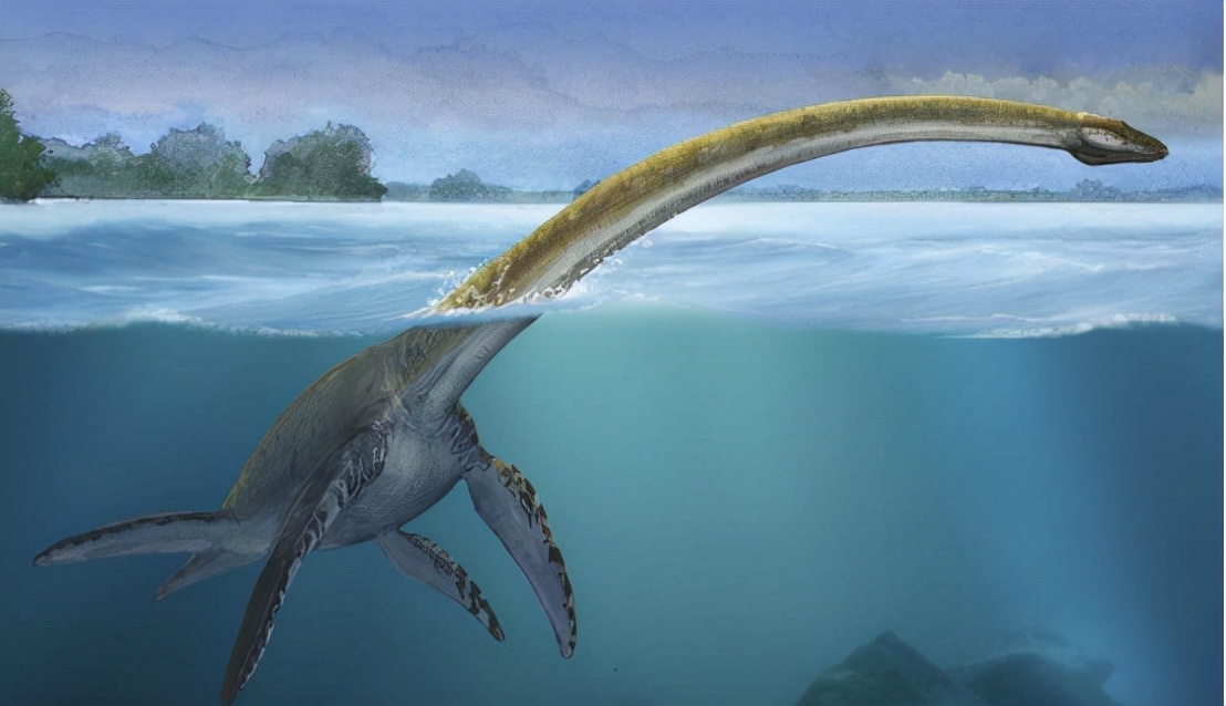 蛇颈龙图片蛇颈龙图片(史前巨兽还活着)