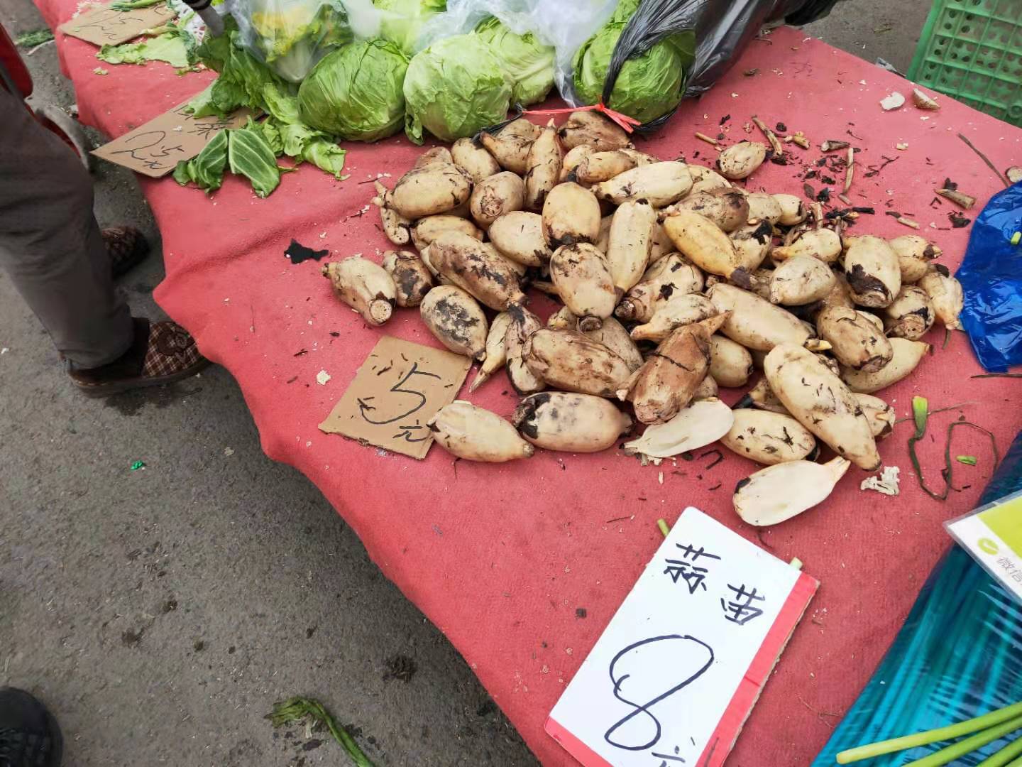 临近过年，蔬菜价格翻2-5倍，芸豆10元一斤，城里人抱怨吃不起