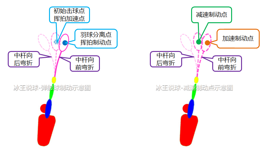 为什么羽毛球拍边缘容易断裂(你的挥拍有效吗？掌握有效挥距省力又省时，高效应对各种技术)