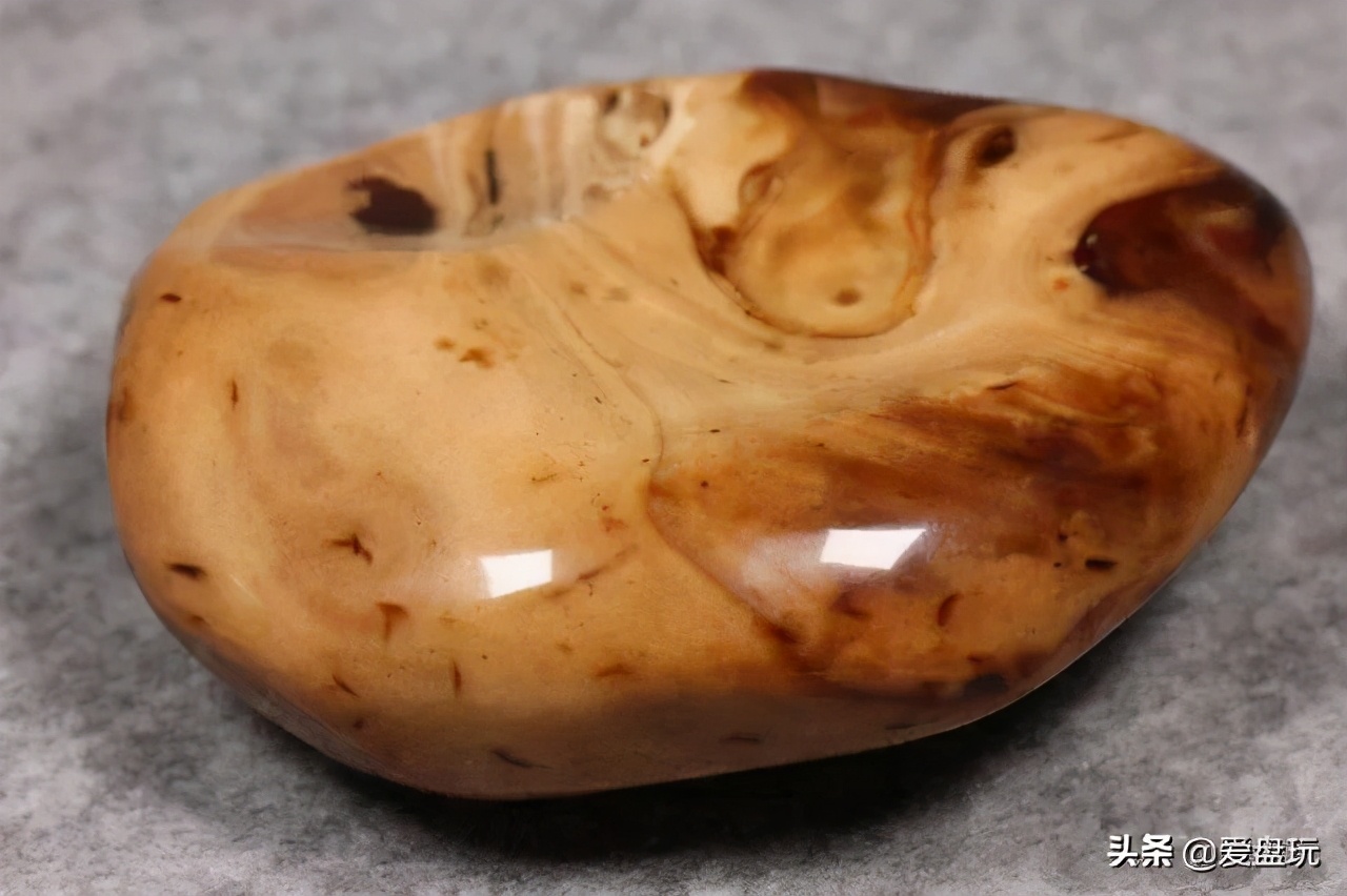 玳瑁价格多少钱一只(一种硬度很高的琥珀) - 价格百科