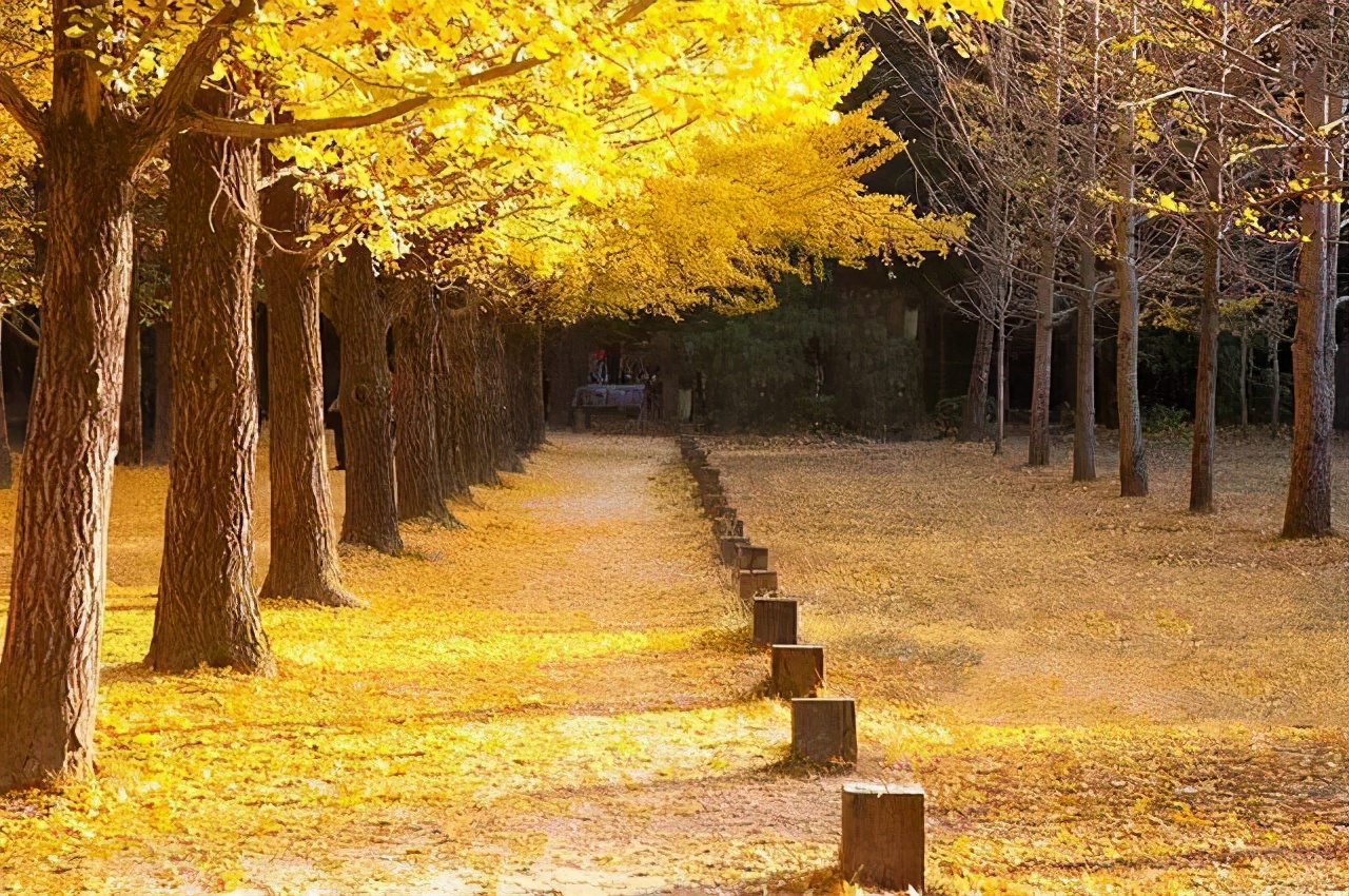 报考四川高校注意了，这4所本科高校有专业级差，专业排序要小心