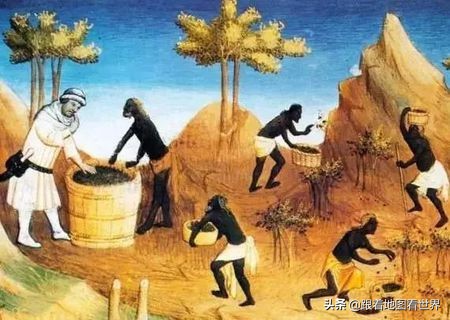 荷兰东印度公司离成立200周年只差4年，就倒闭了