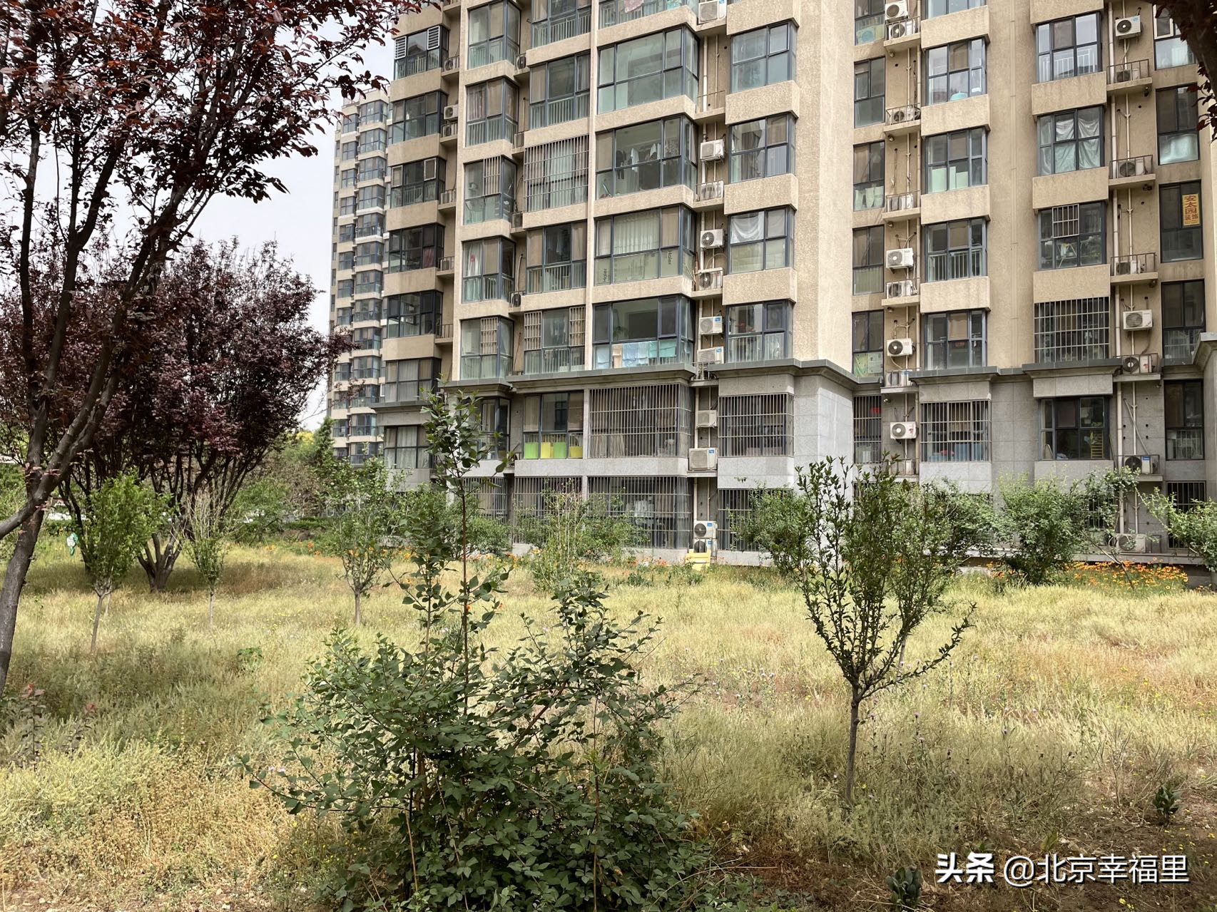 地铁加持，配套丰富，看良乡热门小区长啥样？