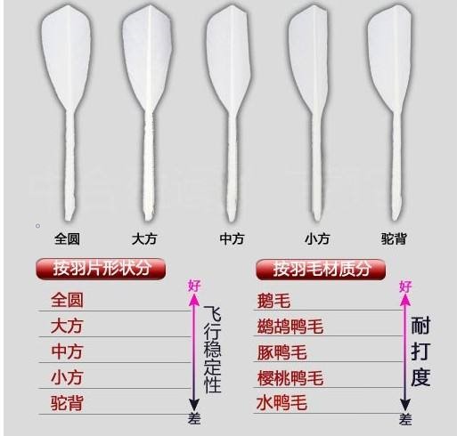 羽毛球是羽毛的好还是塑料的好（你不得不了解的羽毛球挑选小窍门）