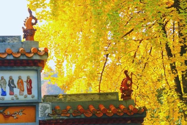 5大校区占地317万㎡、