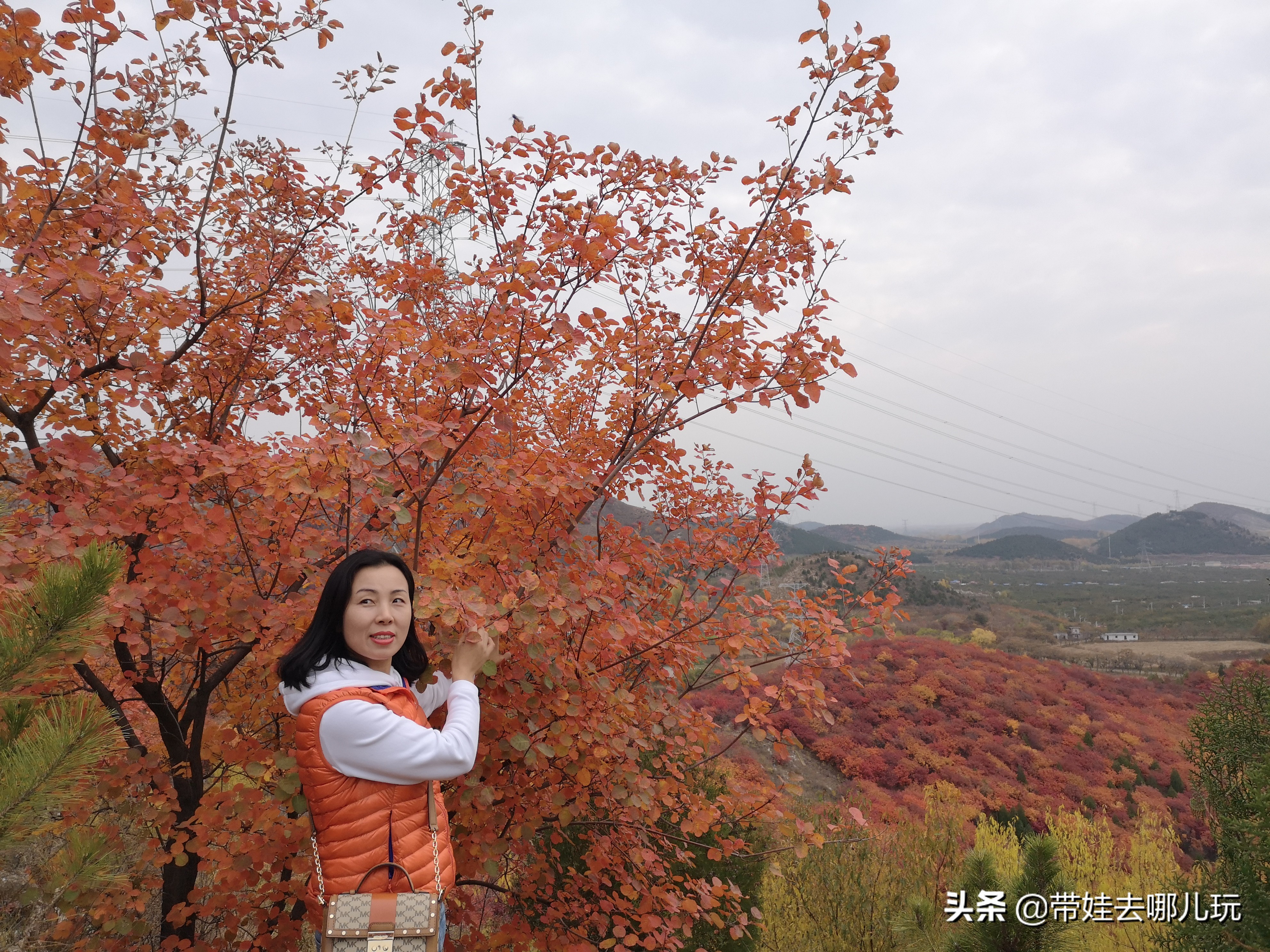 順義玻璃棧道門票價格賞紅何必非去香山坡峰嶺