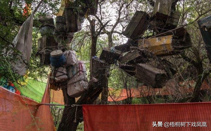 过去“五行葬法”中木葬忌入土，要把尸棺吊在树上，这是为什么？