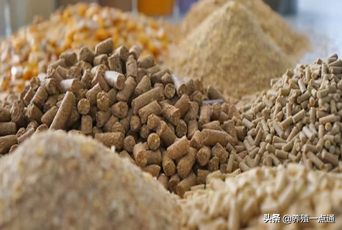 饲料脱霉剂分类详解，一图教你分辨玉米霉变程度