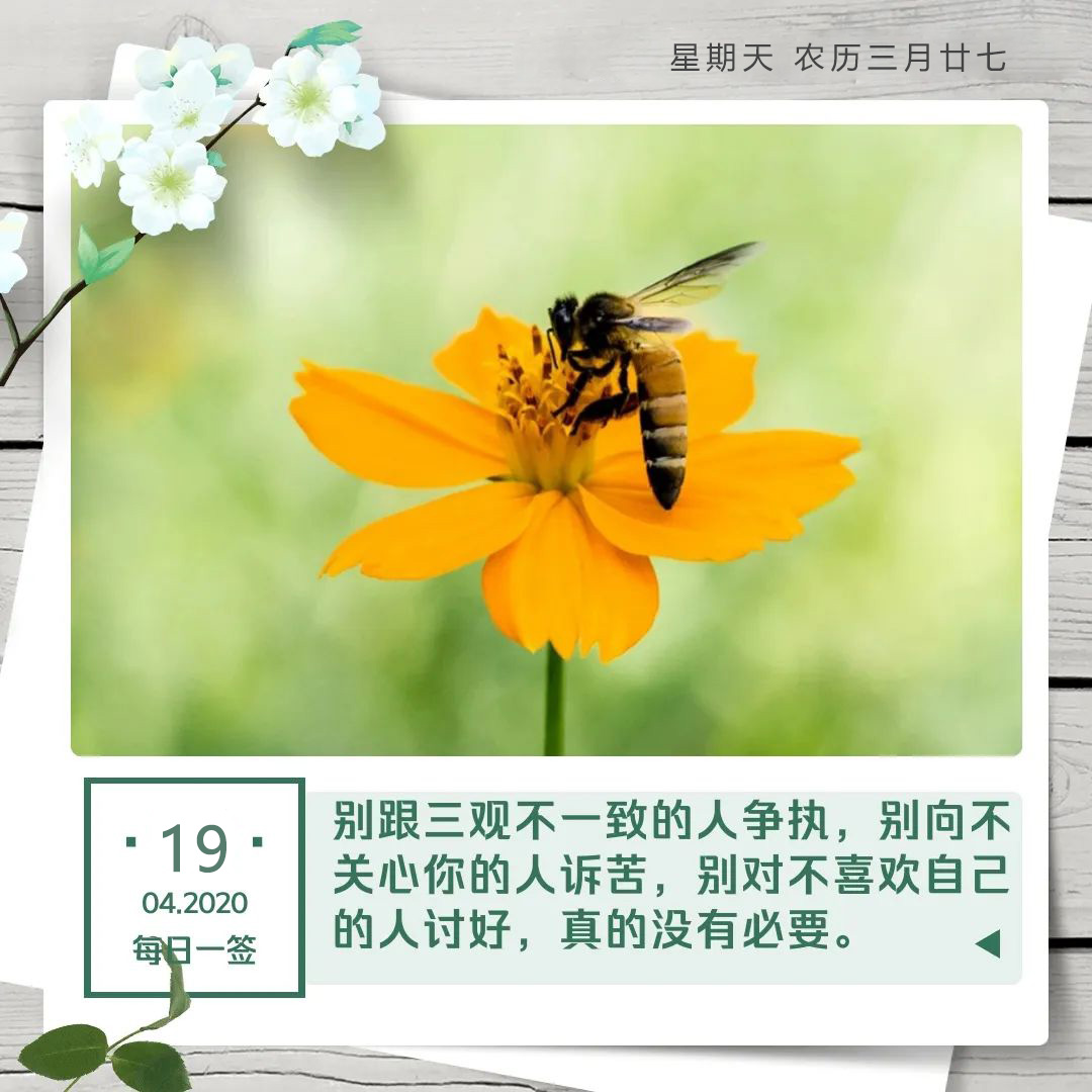 4月19早安日签图片阳光语录：让清晨带给你幸运，让旭日带给你朝气