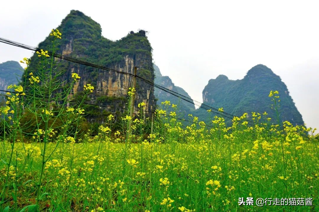 3月份的桂林是最舒服惬意的时候，三天两夜看一场山水画中景