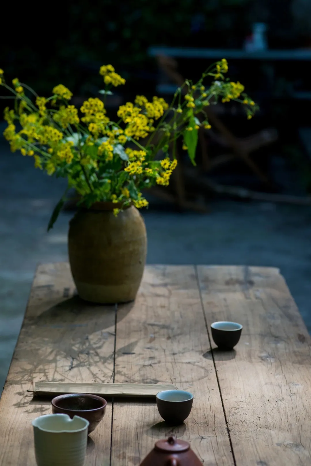 寻一方清净小院,守得清欢慰平生