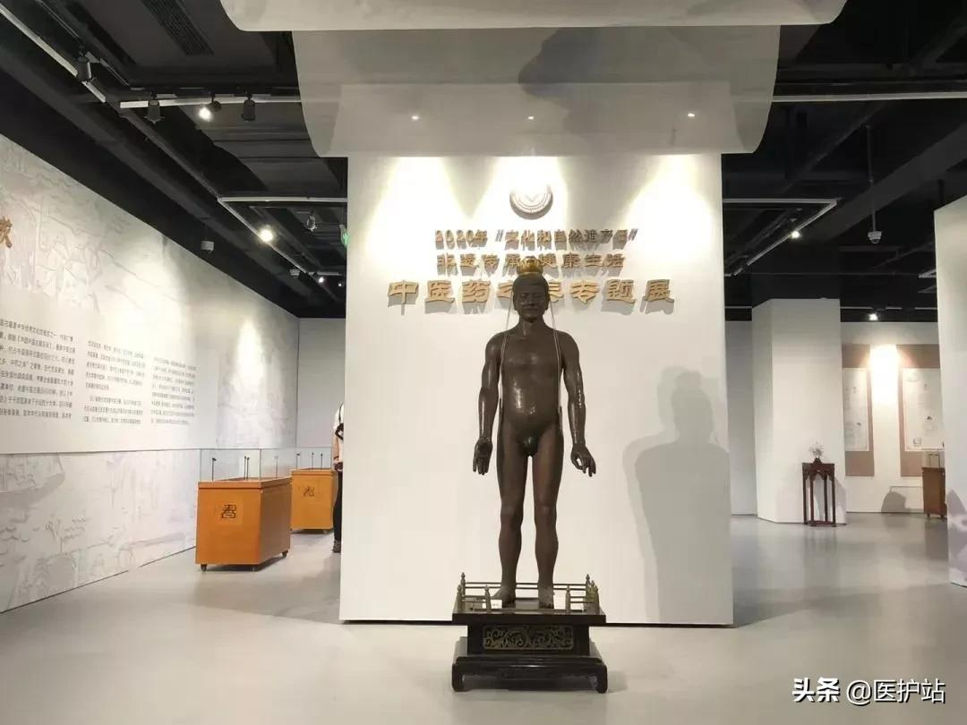 如何推进中医药文化传播？四川五部门联合印发工作方案