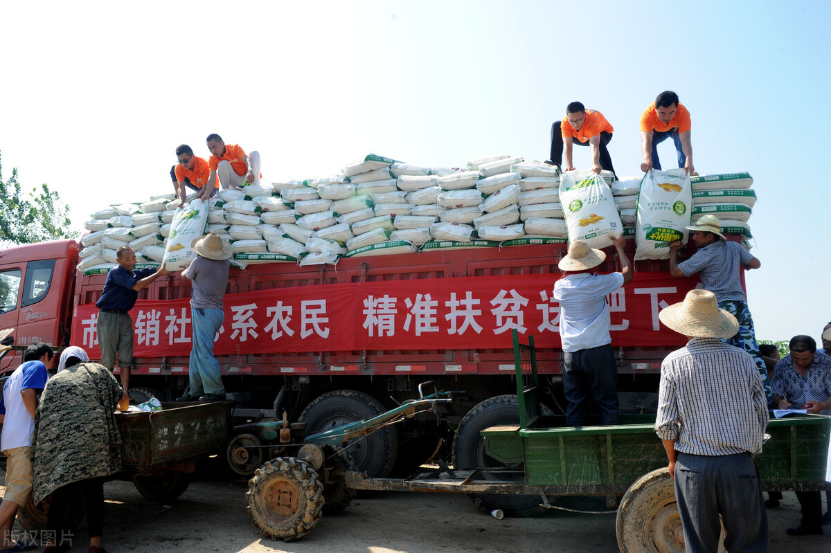 复合肥怎么使用正确（复合肥的正确使用方法）
