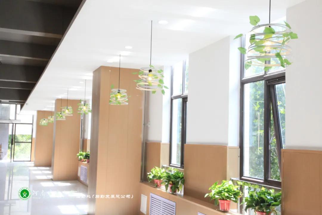 美美美，14000㎡等你发现，农大餐厅焕新啦