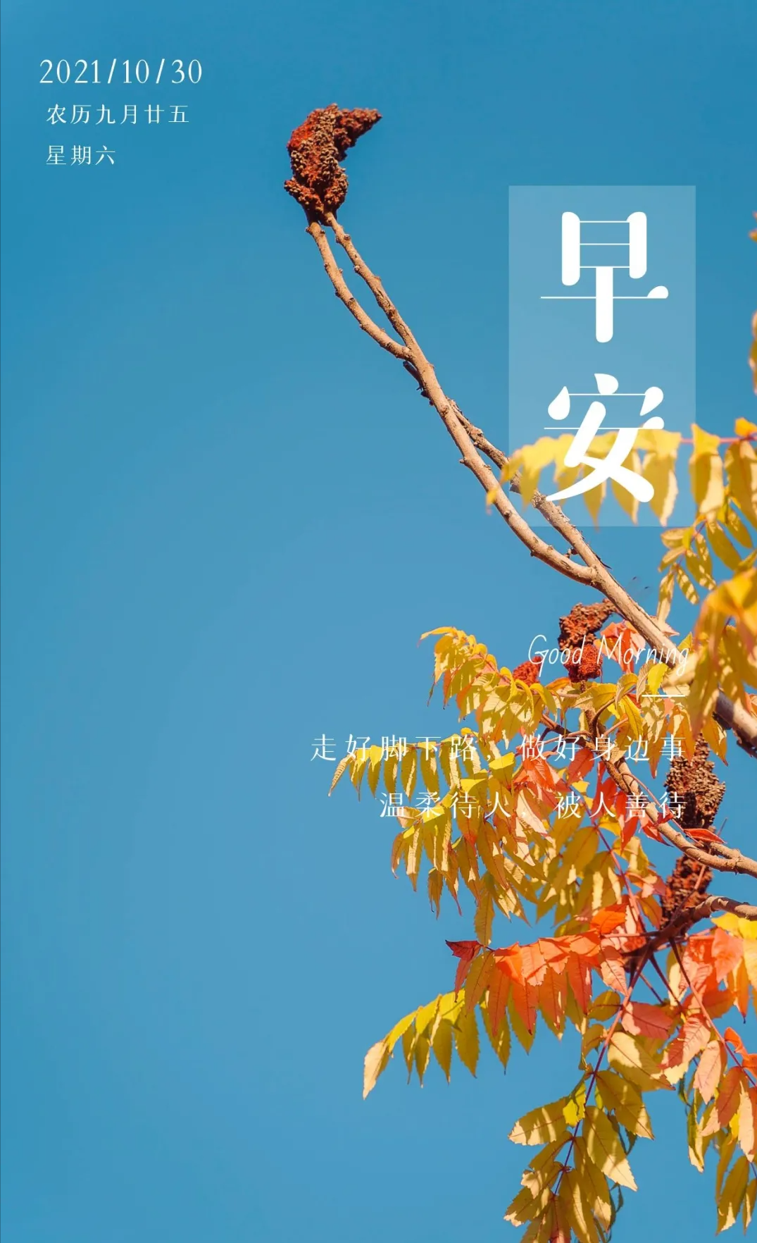 深秋,早安暖心话短句;早安