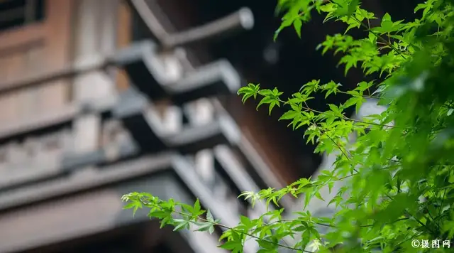 昨天，今天，明天；过去，现在，将来；前世，今生，来世…绝了