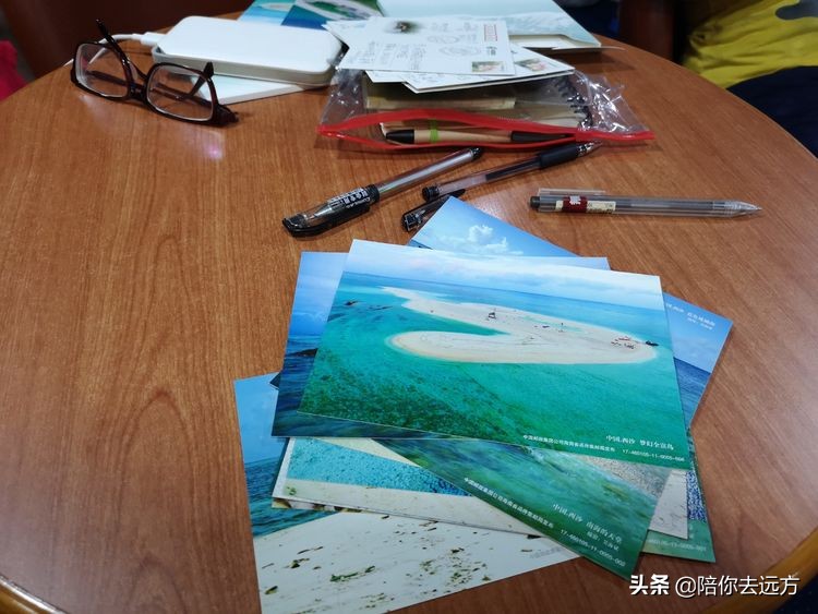 西沙~南海中的一片莲