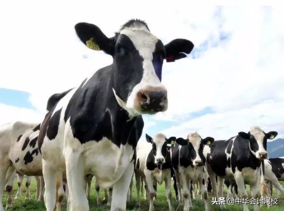 德勤审计现场简直太太太太太太太秀了！