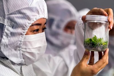 农业企业会计分录有哪些？会计做账流程是什么？要注意哪些问题？