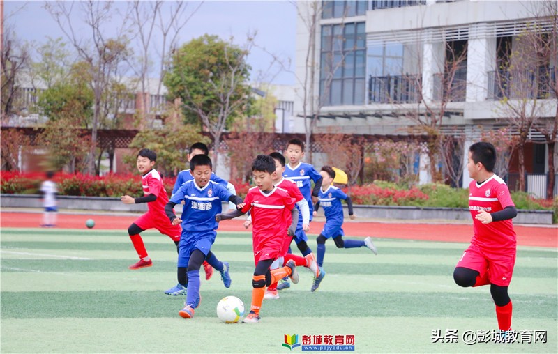 2021年云龙区“区长杯”校园足球联赛圆满收官