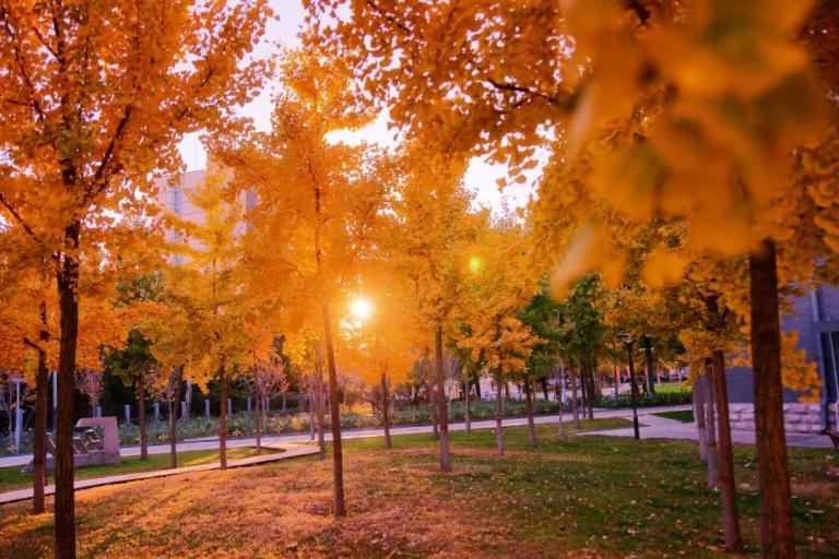 就业率98％以上！2020年，这所北京高校值得报考，吃住条件相当好！