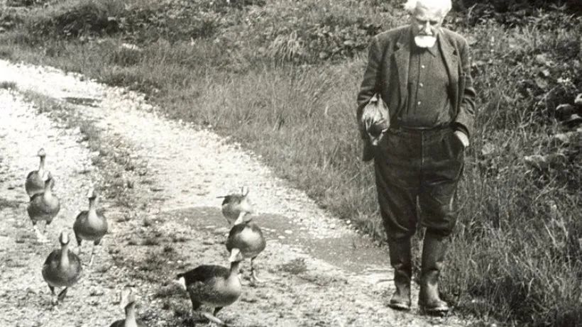 韦斯特马克效应（比有情人终成兄妹更狗血的是，你拿动物当宠物，它却把你当同类？）