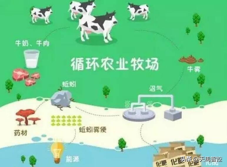 4种畜禽养殖粪污处理与综合利用技术模式：干清粪，水泡粪