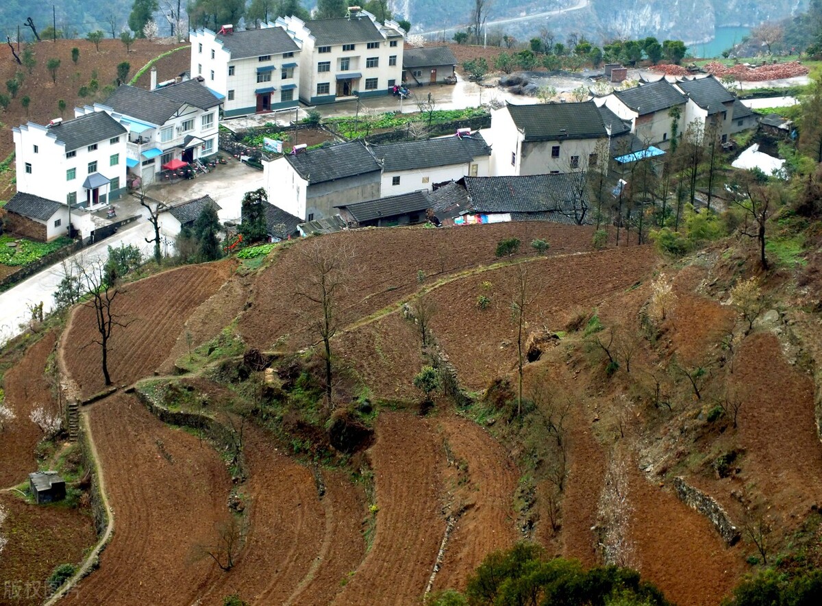 以案说法｜集体土地进行非农业建设合同效力分析