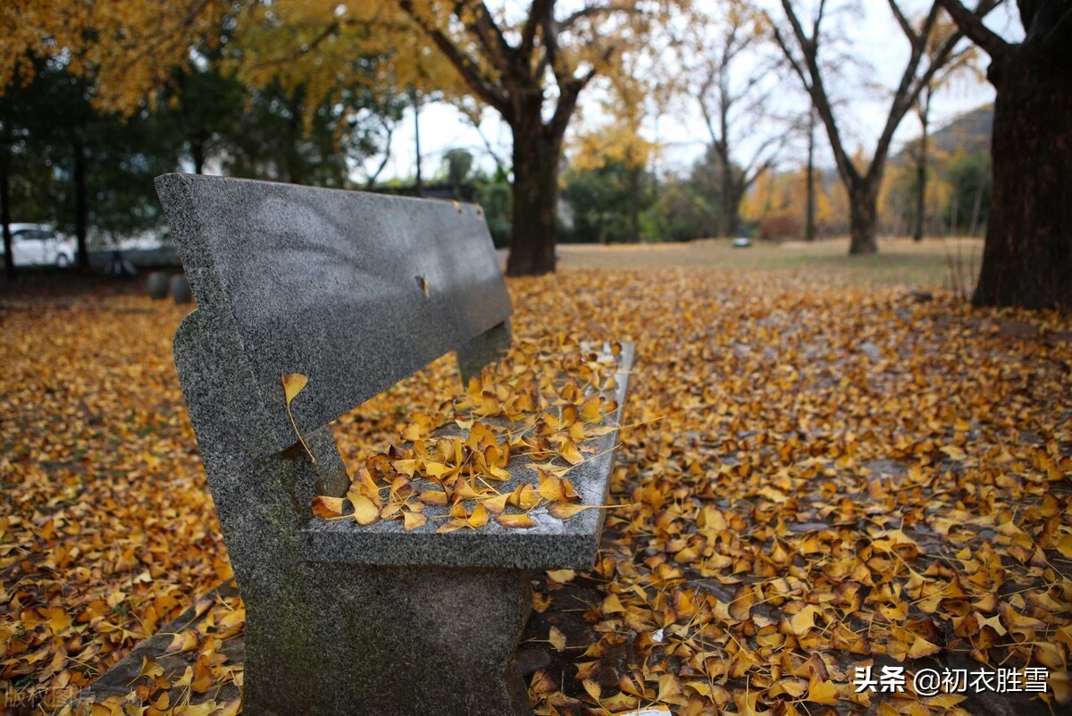 晚秋唐诗美句，雨中黄叶树，灯下白头人，诗句苍凉，情谊温厚