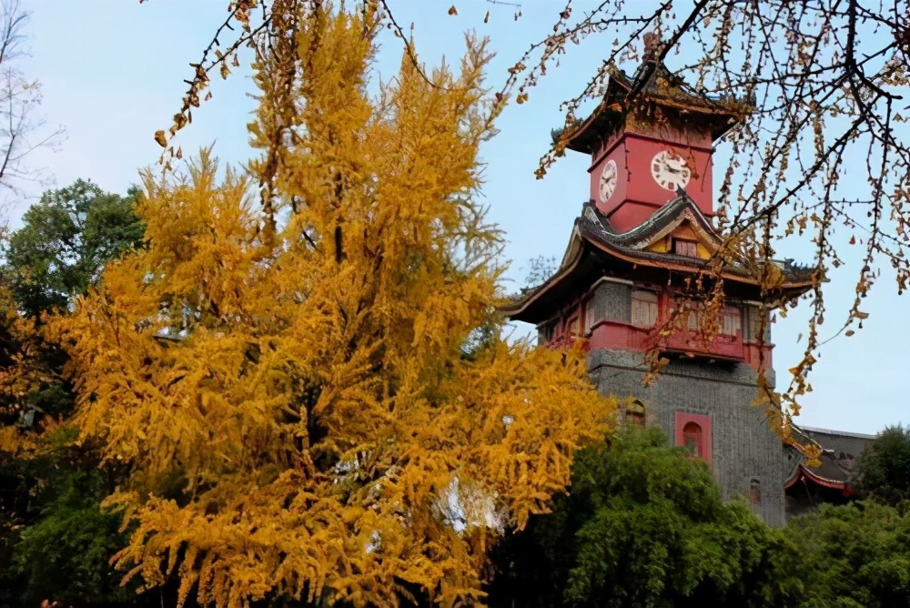 高校改名惨“翻车”，985院校一秒变“野鸡”，改回原名霸气回归