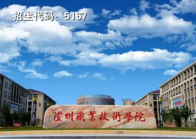 四川2020年高职单招“教育与体育”大类院校