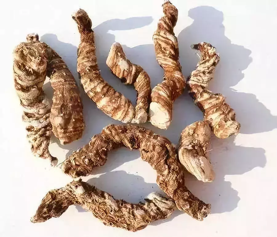 500元/斤,从武侠小说里走出来的植物——七叶一枝花