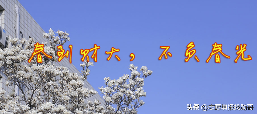 6所“一本压线生”值得报的二本大学，专业实力强