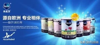 中國常用的十大知名油漆涂料品牌推薦