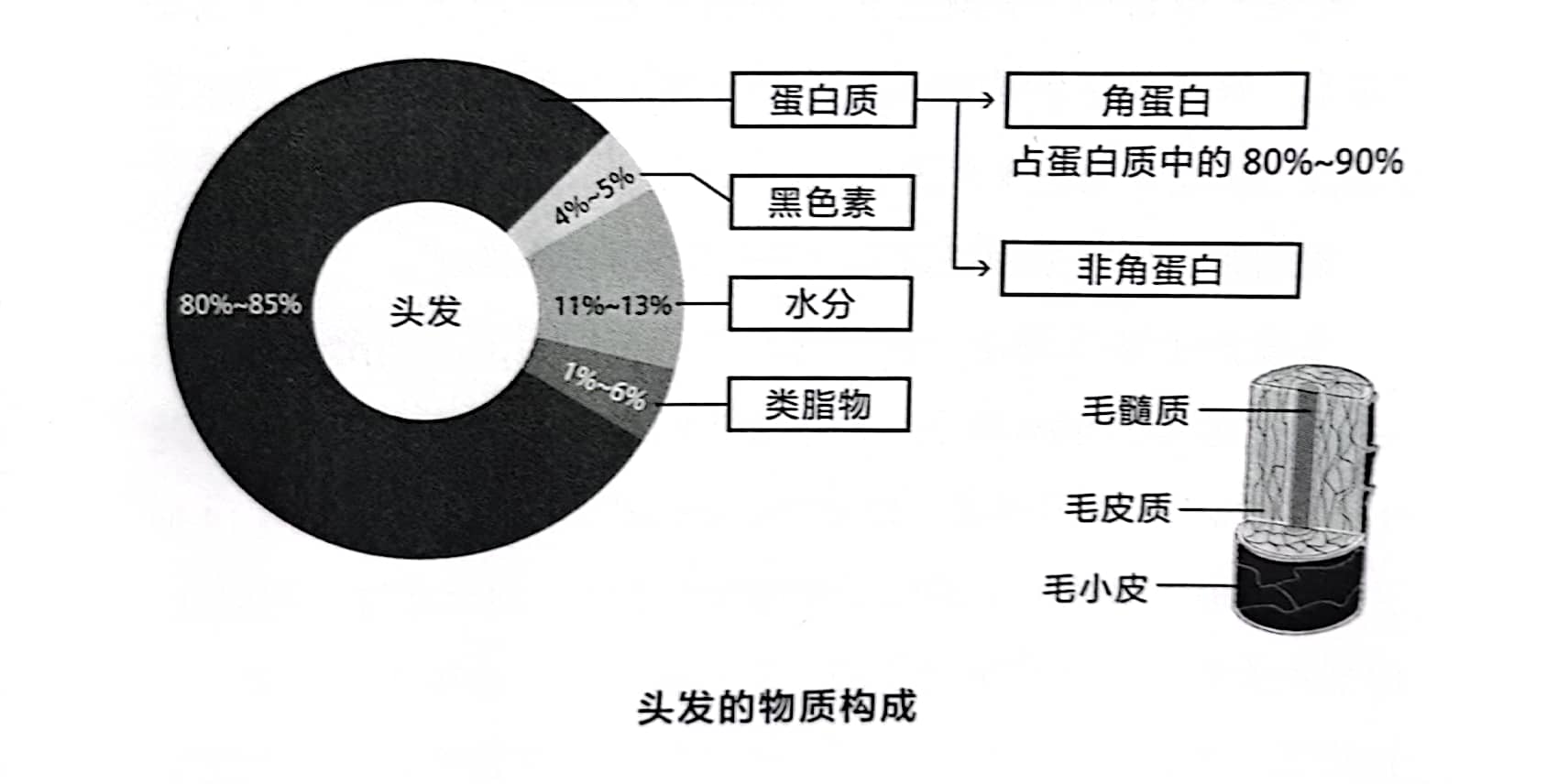 爸爸，为什么你没有头发？我这叫聪明绝顶