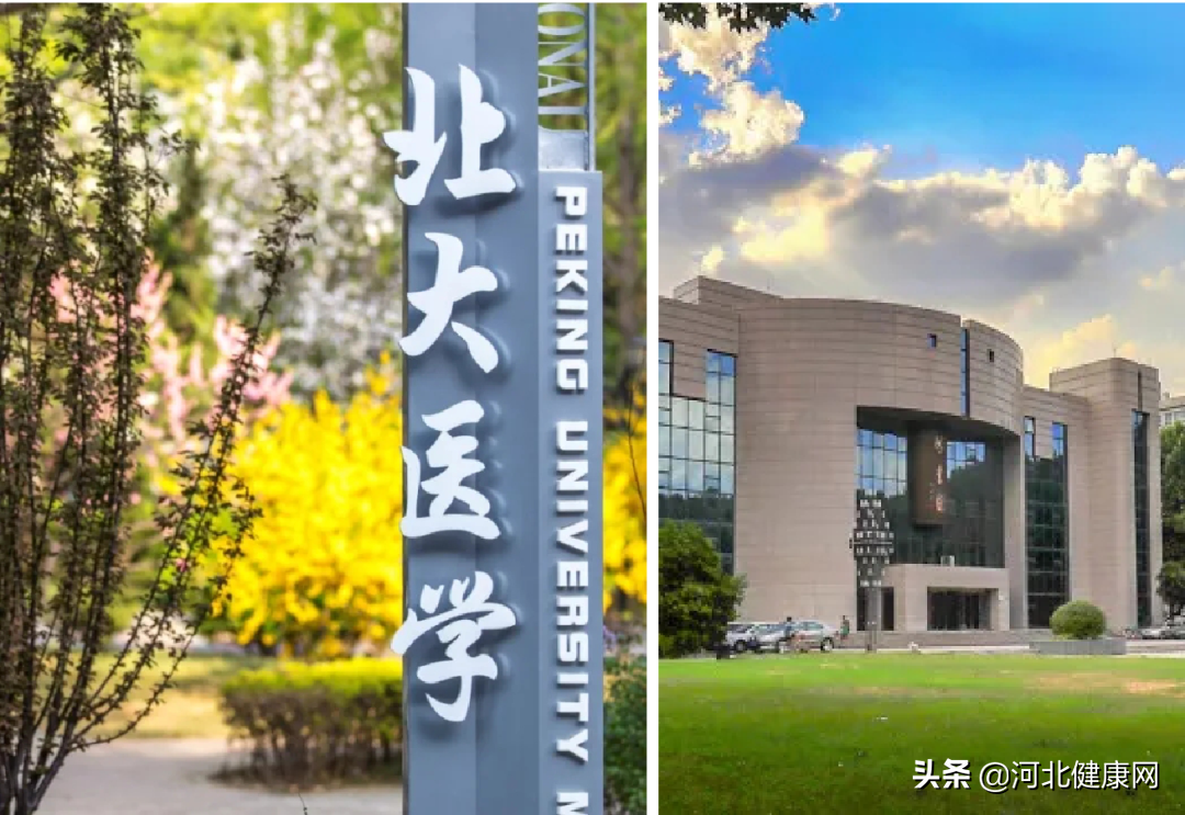 「百余所高校增设」一文秒懂“炙手可热”的健康管理专业