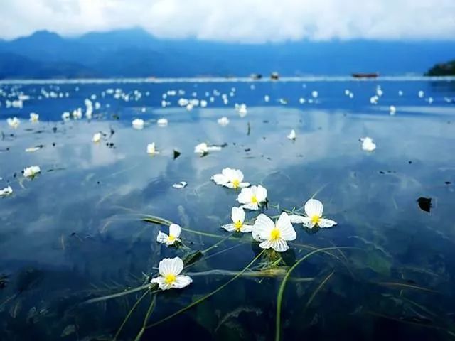 泸沽湖的下雨天，你把所有的美景都给了我，你就是我世界的尽头