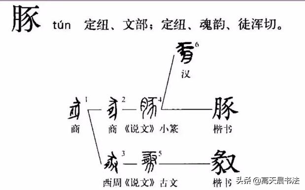 犭怎么读(猪 青木春