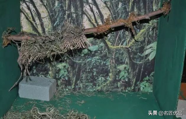 快递纸箱不要扔，25款纸箱感统玩具学起来！废物利用不用花钱了