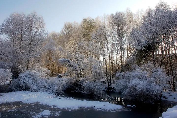 一叶知秋，秋雪知寒