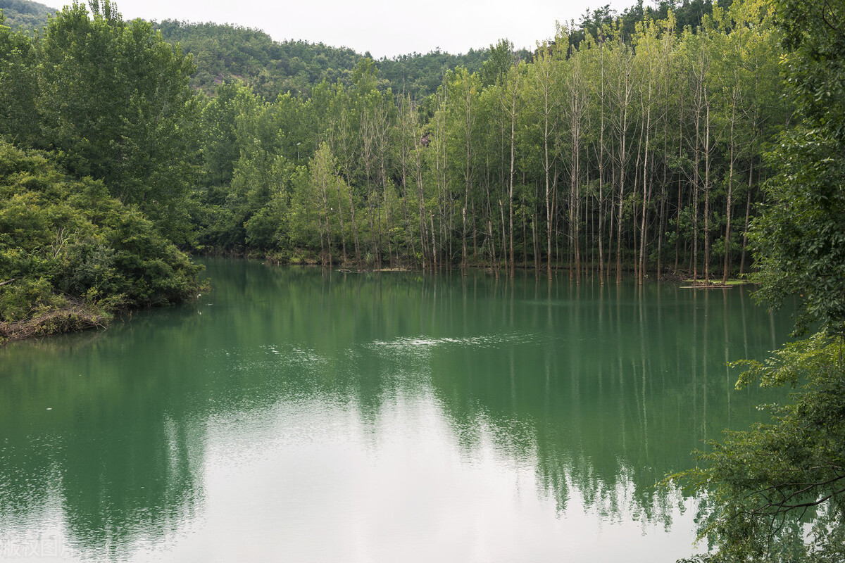 2012上海高考听力真题（53）