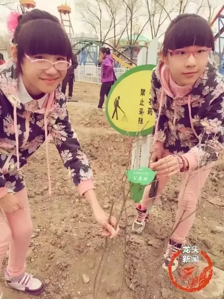 妈妈做的一切都是为了好好活着——这几位母亲的故事,看哭所有人