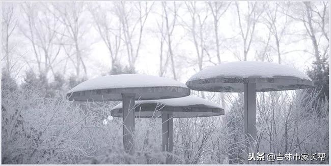 高考必读：吉林师范大学吉林省历年来录取分数线