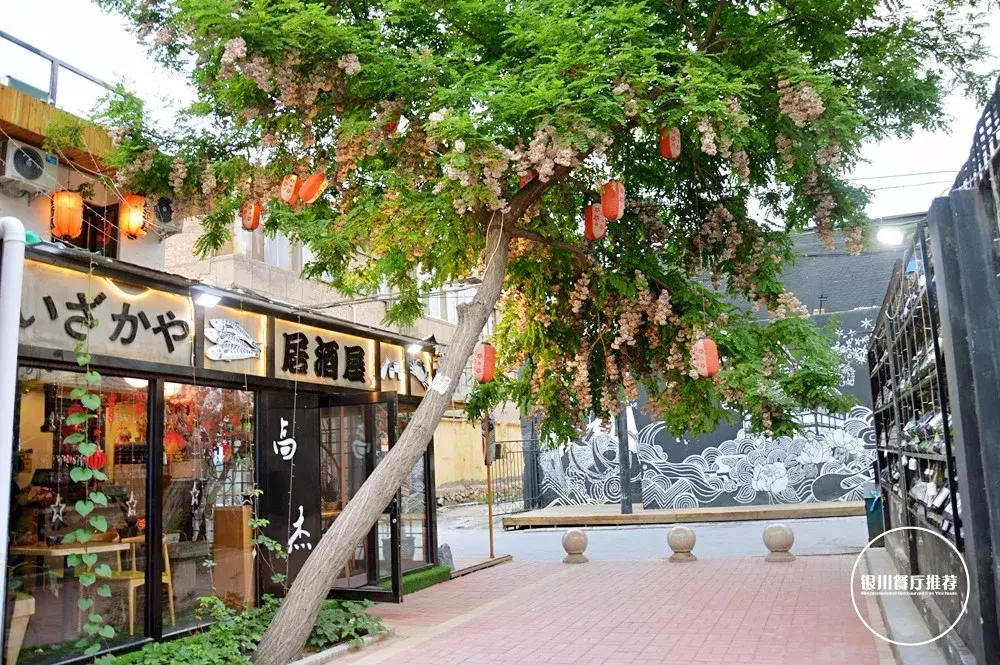 银川最美居酒屋，深藏大树下