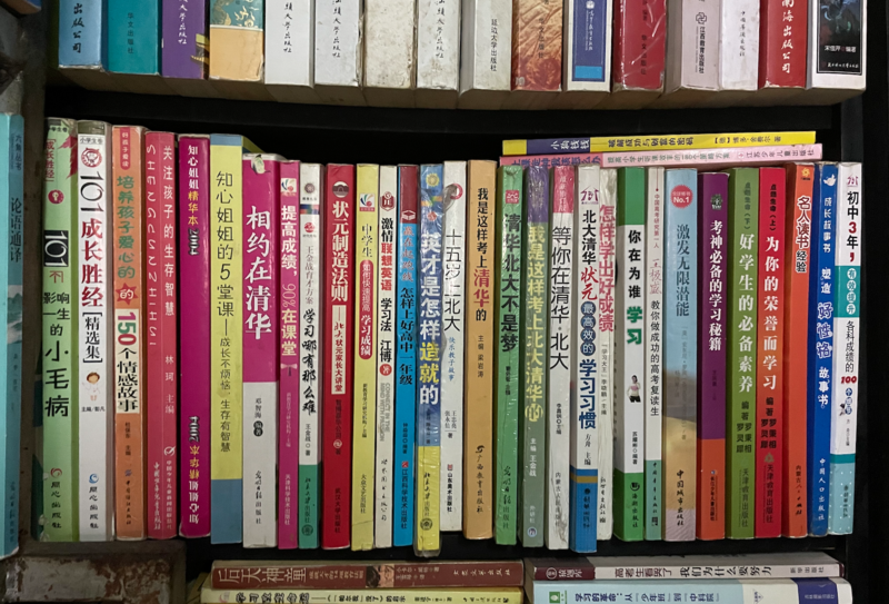 “陪读小镇”上，那些被高考神话捆绑的妈妈们