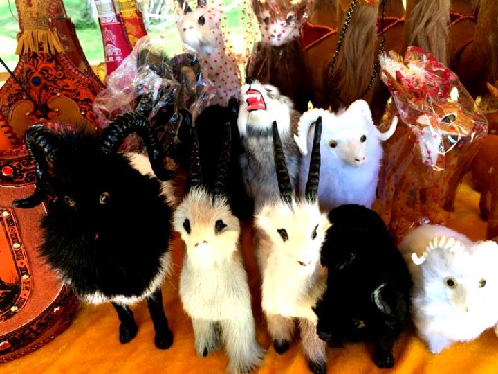 令人难以忘怀的梦幻禾木