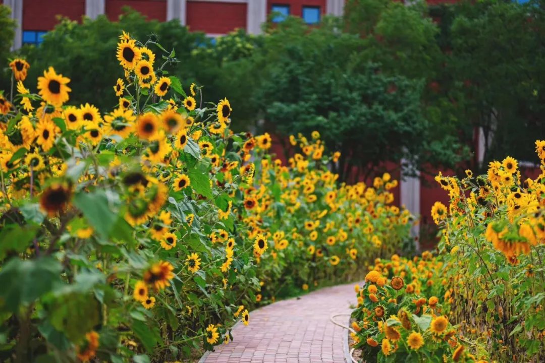 为什么要报考兰州大学？