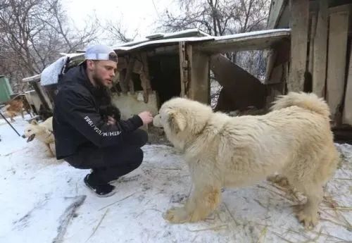 200 世界杯韩国为什么(韩国一年吃掉200万条狗却要禁吃狗肉：不是爱动物，而是讨好西方)