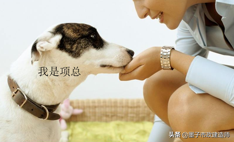 20021设计概算的应用·总概算·单项工程综合概算·单位工程概算