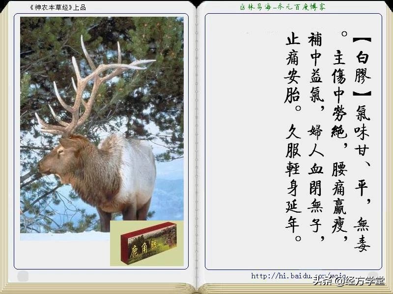 《神农本草经》全册图文解析 建议收藏